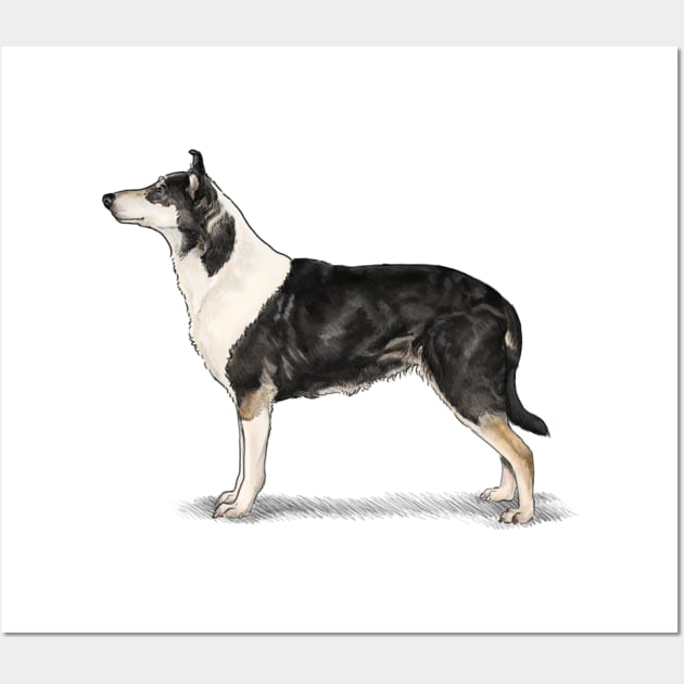 The Tri Colour Smooth Collie Wall Art by Elspeth Rose Design